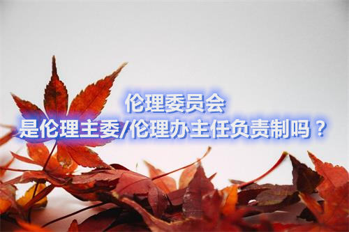 倫理委員會是倫理主委/倫理辦主任負責制嗎？(圖1)