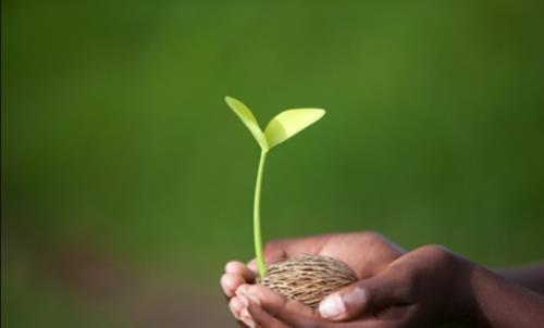 如何成為一名優(yōu)秀的CRC？分享CRC快速成長(zhǎng)秘籍(圖1)