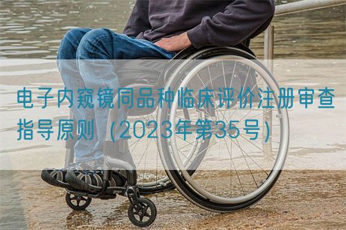 電子內(nèi)窺鏡同品種臨床評價注冊審查指導(dǎo)原則(2023年第35號)(圖1) 電子內(nèi)窺鏡同品種臨床評價注冊審查指導(dǎo)原則(2023年第35號)(圖1)