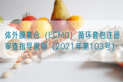 體外膜氧合（ECMO）循環(huán)套包注冊審查指導(dǎo)原則（2021年第103號(hào)）(圖1)