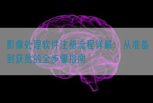 影像處理軟件注冊流程詳解：從準備到獲批的全步驟指南(圖1)