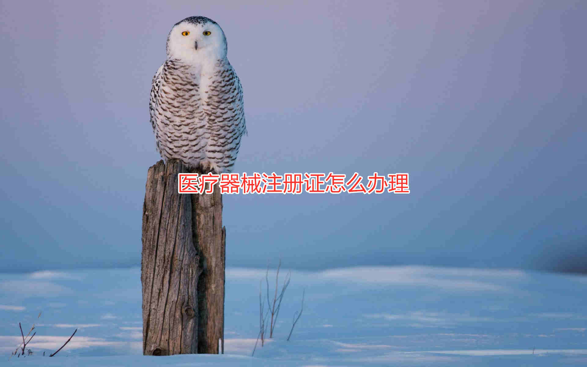 三類醫(yī)療器械注冊(cè)證辦理流程和周期說明(圖1)