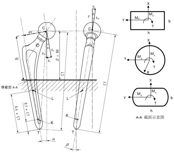 生物型股骨柄柄部疲勞性能評(píng)價(jià)指導(dǎo)原則(2020年第62號(hào))(圖3) 生物型股骨柄柄部疲勞性能評(píng)價(jià)指導(dǎo)原則(2020年第62號(hào))(圖3)